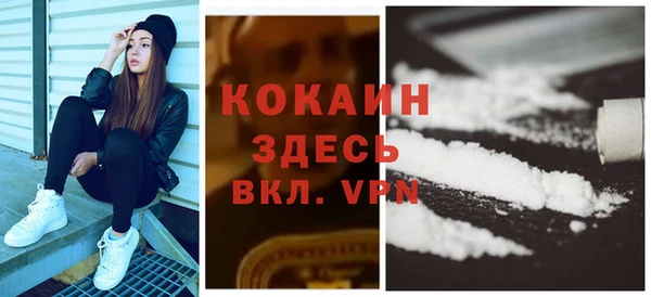 крисы Галич