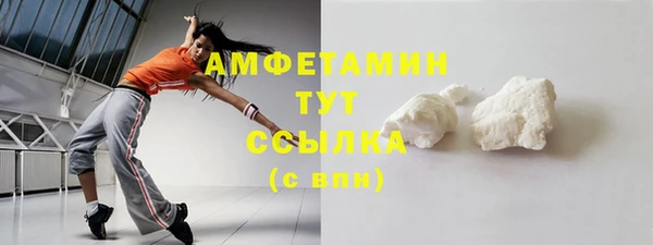 ECSTASY Ельня