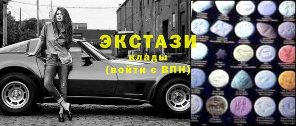 ECSTASY Ельня