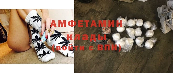 ECSTASY Ельня