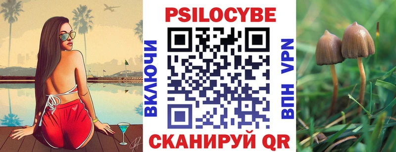 kraken сайт  Каменка  Псилоцибиновые грибы ЛСД 